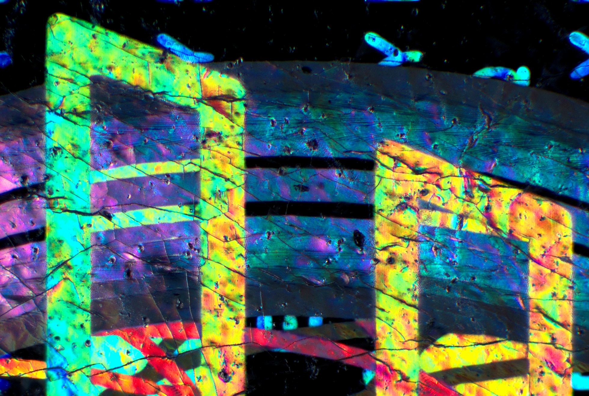 2510-Euromoney art